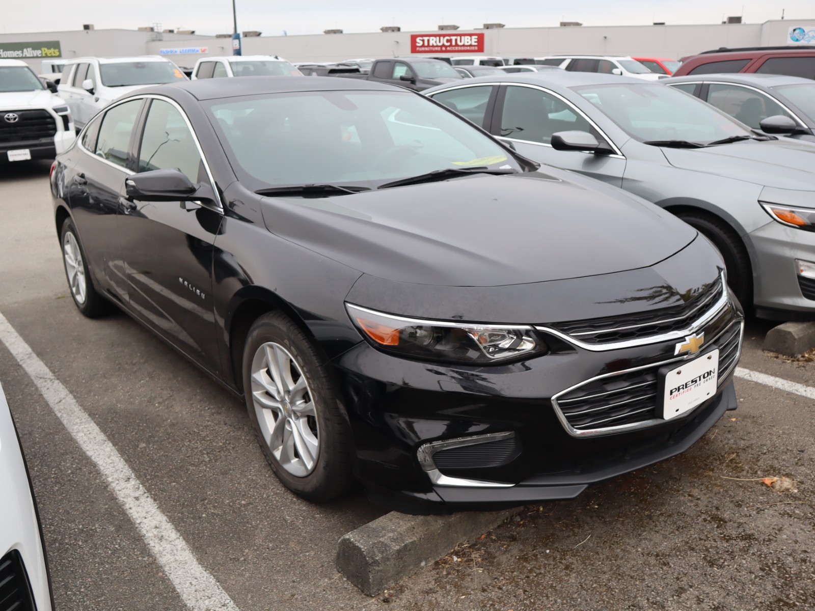 Chevrolet Malibu